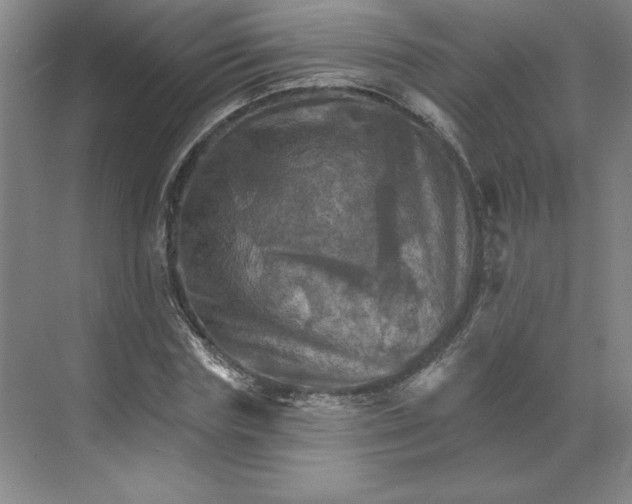 X0000068820827200605191831