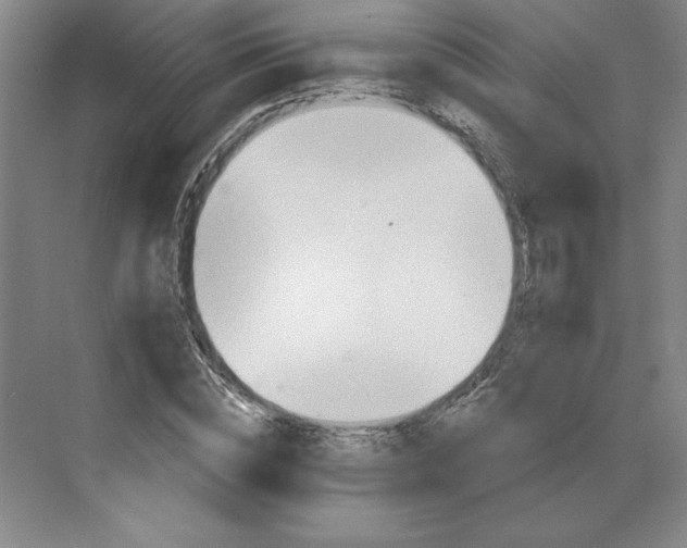 X0000068820828200605191831