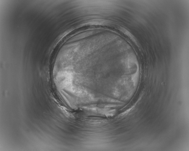 X0000068820829200605191831