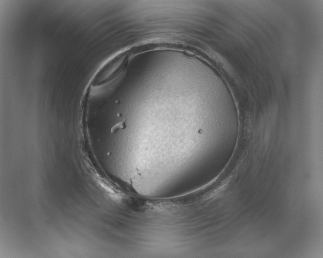 X0000068820830200605191831