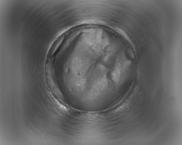 X0000068820831200605191831