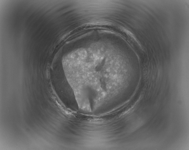 X0000068820833200605191831