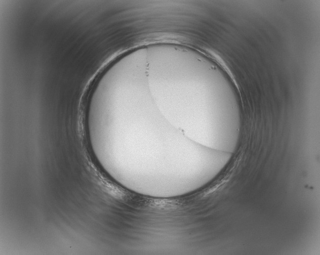 X0000068820835200605191831