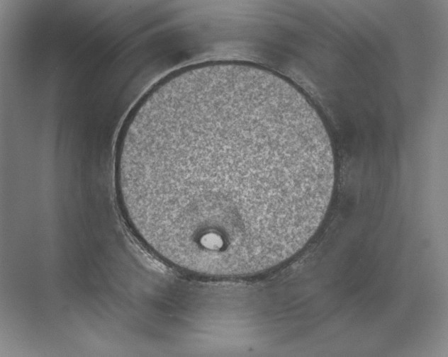 X0000068820836200605191831