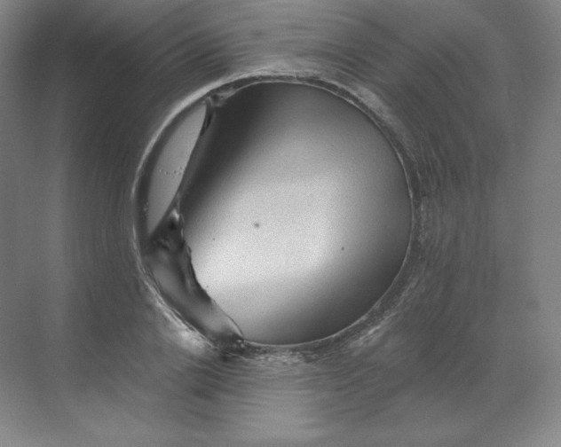 X0000068820838200605191831