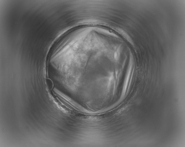 X0000068820839200605191831