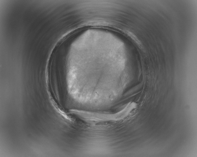 X0000068820840200605191831