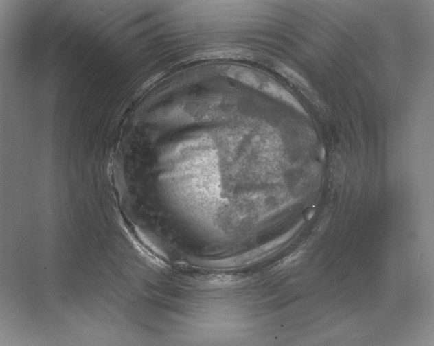 X0000068820841200605191831