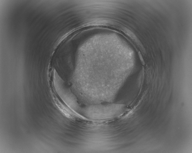 X0000068820842200605191831