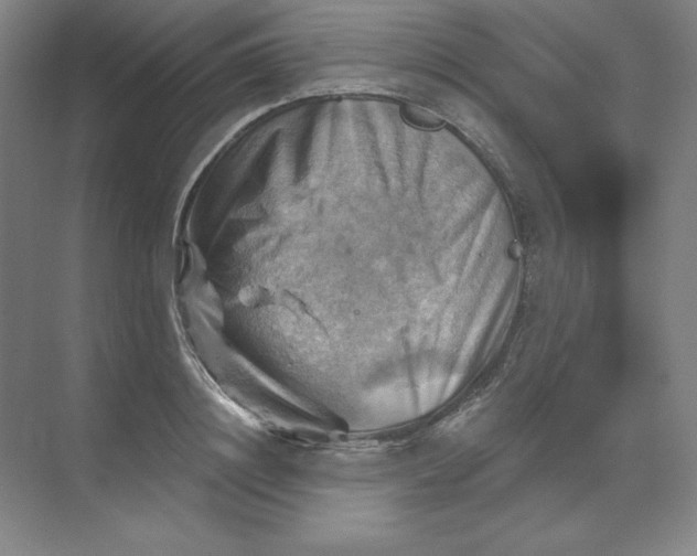 X0000068820844200605191831