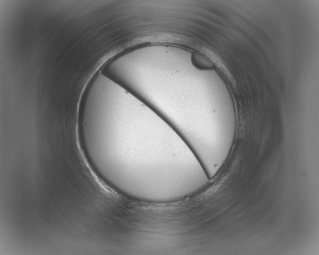 X0000068820845200605191831