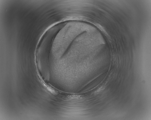 X0000068820846200605191831