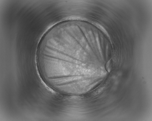 X0000068820847200605191831