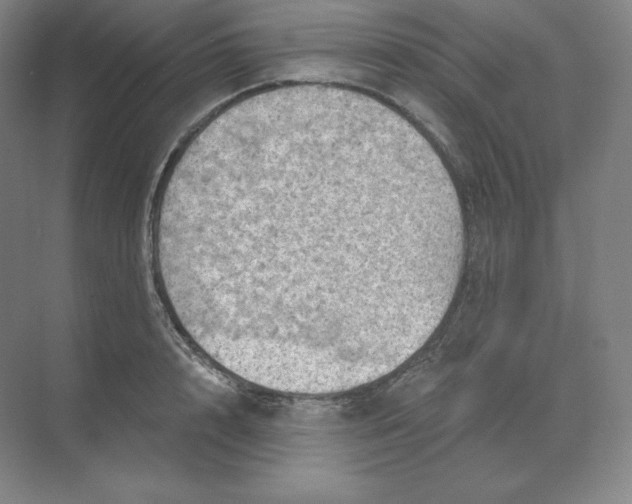 X0000068820848200605191831