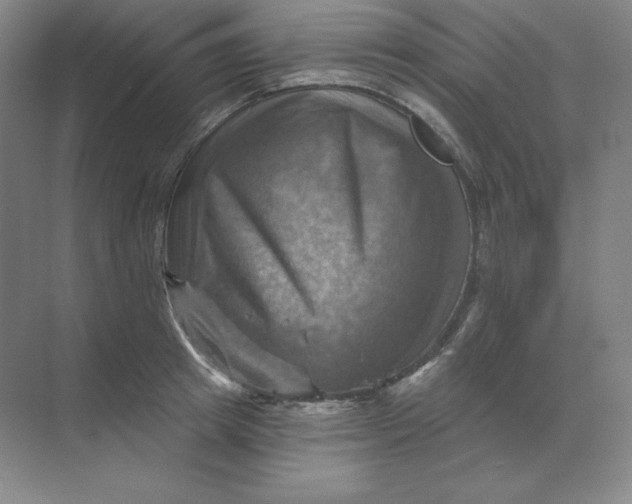 X0000068820849200605191831