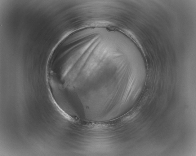 X0000068820851200605191831