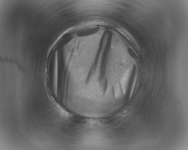 X0000068820852200605191831