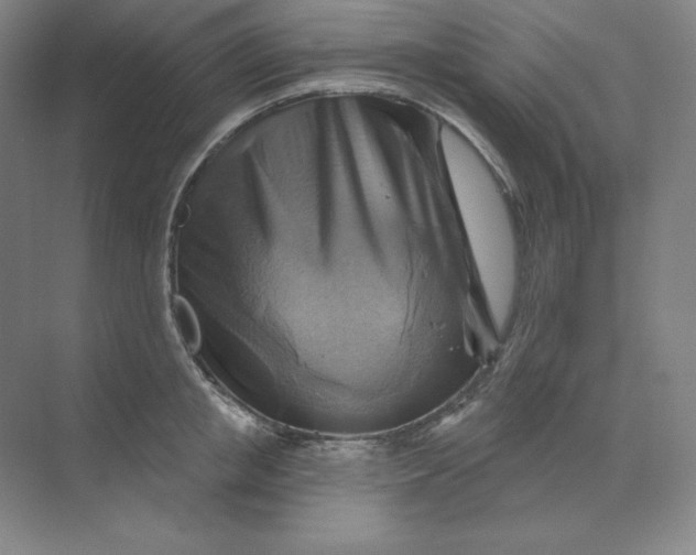 X0000068820853200605191831