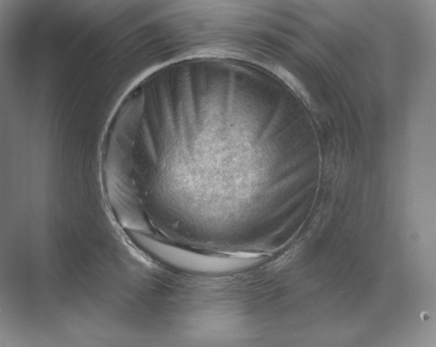 X0000068820854200605191831