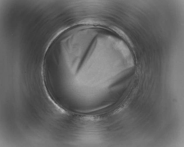 X0000068820855200605191831