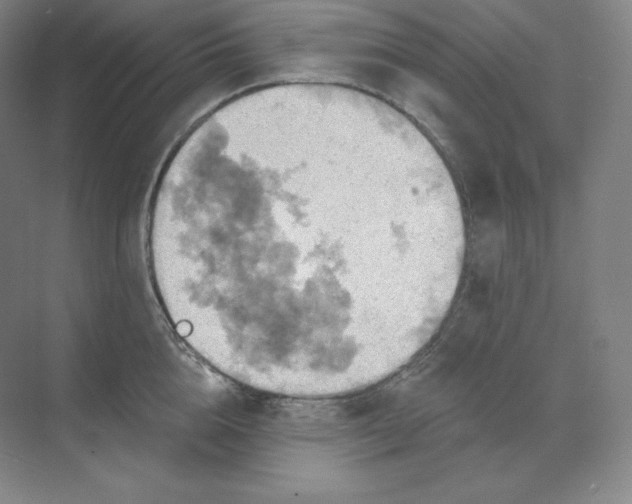 X0000068820856200605191831