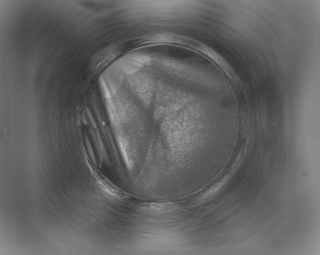 X0000068820857200605191831