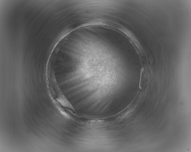 X0000068820858200605191831