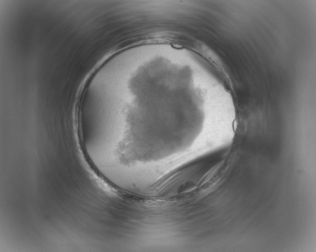 X0000068820859200605191831