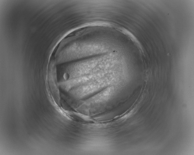 X0000068820860200605191831