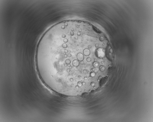 X0000068820863200605191831