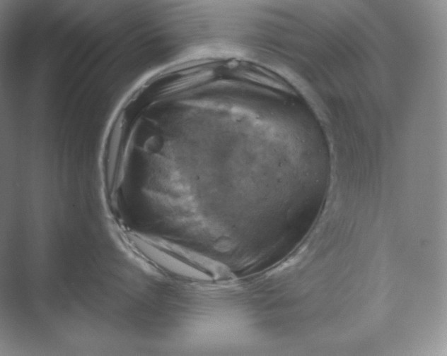 X0000068820864200605191831