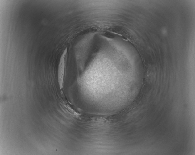 X0000068820866200605191830