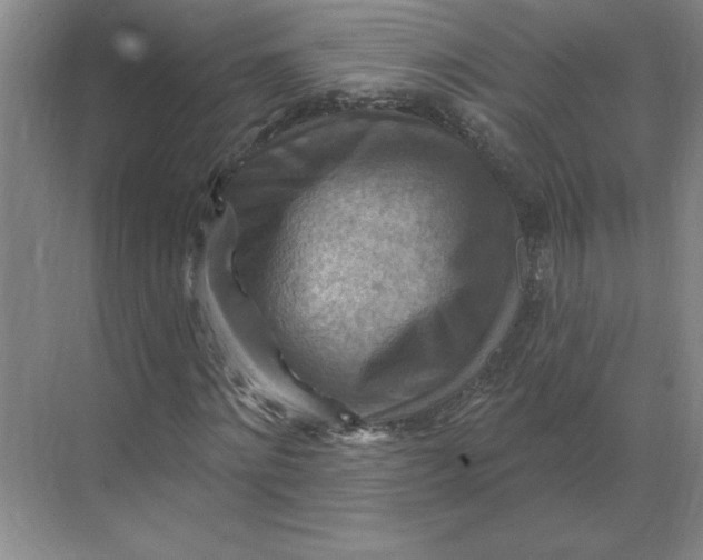 X0000068820868200605191830