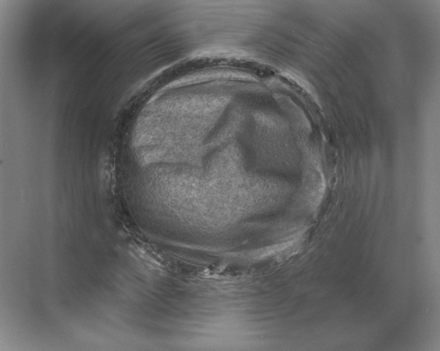 X0000068820872200605191830