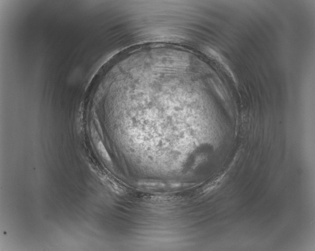 X0000068820875200605191830