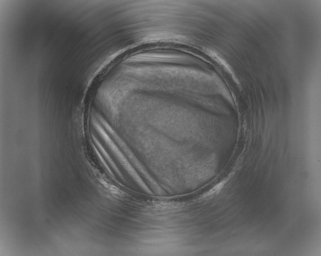 X0000068820877200605191830