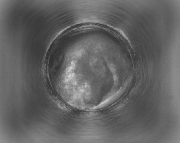 X0000068820879200605191830