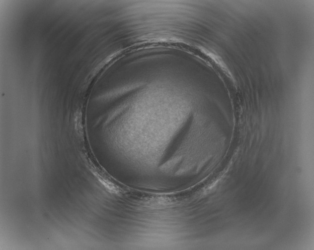 X0000068820881200605191830