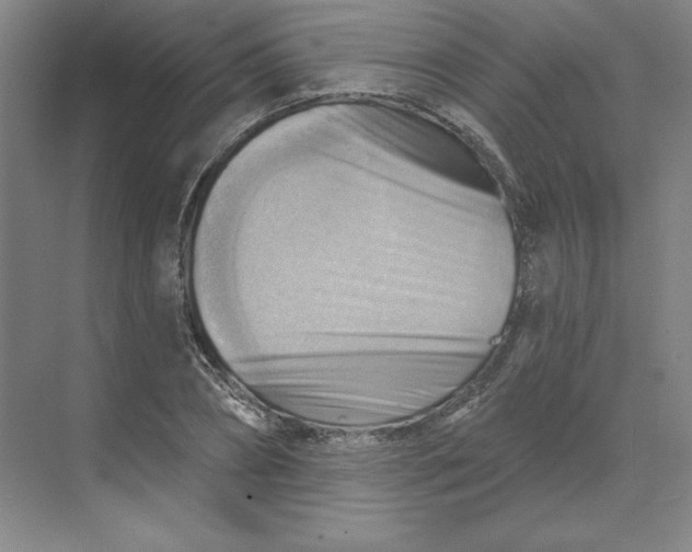 X0000068820882200605191830