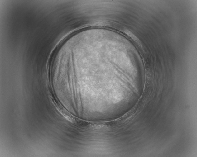 X0000068820886200605191830