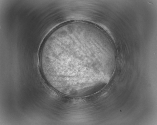 X0000068820887200605191830