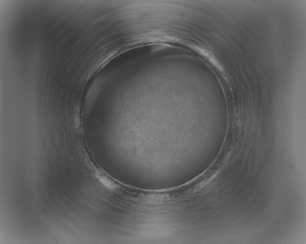 X0000068820889200605191830