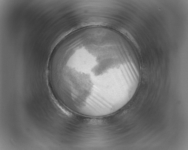 X0000068820890200605191830