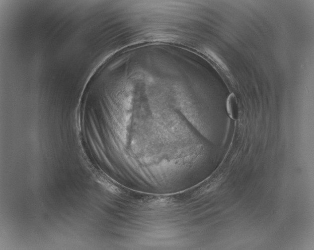 X0000068820891200605191830