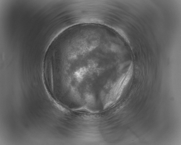 X0000068820895200605191830