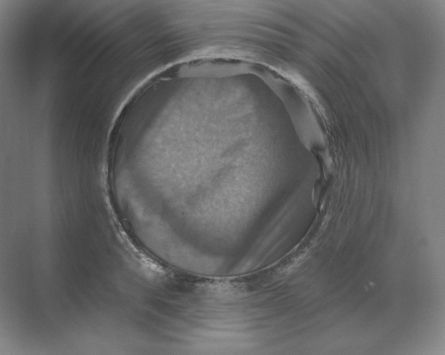 X0000068820896200605191830