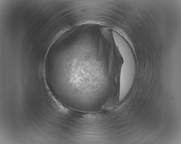 X0000068820898200605191830