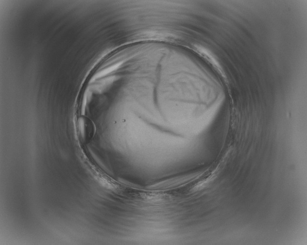 X0000068820899200605191830