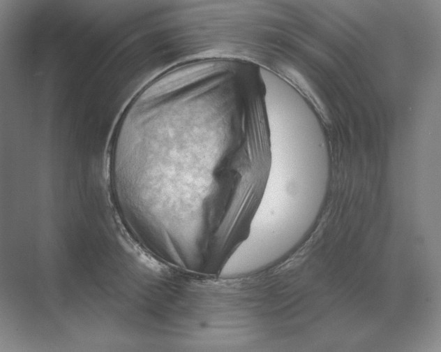 X0000068820900200605191830