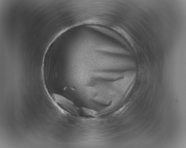 X0000068820902200605191830